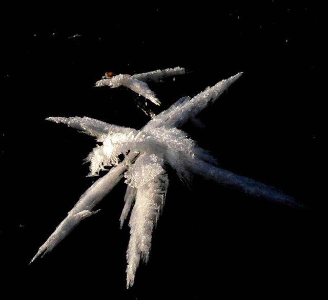 Ice Feathers Adventure Rider